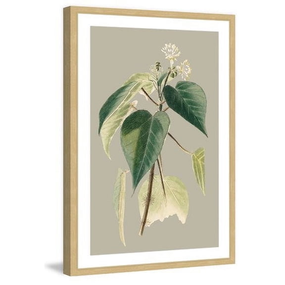 Marmont Hill "Botanical Cabinet II" Framed Painting Print