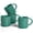 Sage Green, variant on Famiware Star Series 4 Pieces Mug Set, Cinnamon Brown