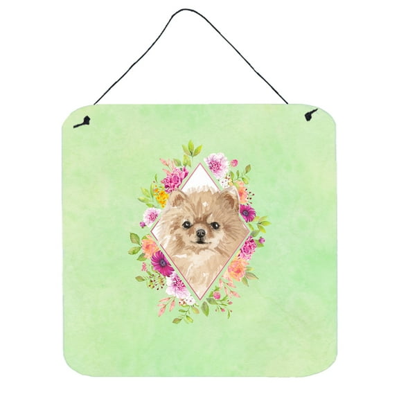 Carolines Treasures CK4379DS66 Pomeranian Green Flowers Wall or Door Hanging Prints 6x6 multicolor