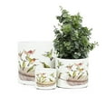 thumbnail image 3 of Abbott Collection AB-27-PL-WR-02-LG 6.5 in. Ceramic Hummingbirds Planter, White - Large, 3 of 3