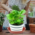 thumbnail image 4 of YSNOOWE 10Ud Plant Trays Resistentes Para Macetas Con Drenaje Para Uso En El Hogar, 4 of 6
