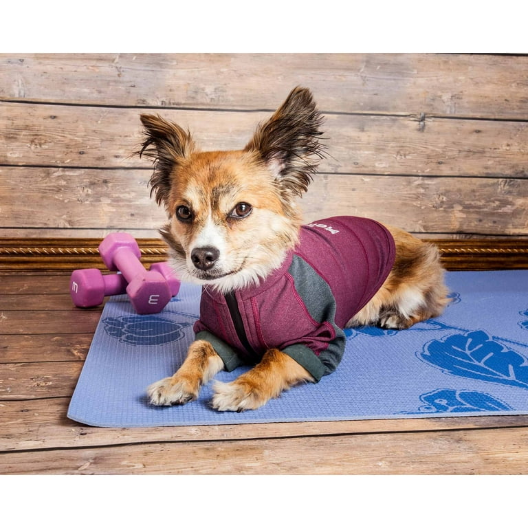 Pet Life Dog Helios Eboneflow Forest Green Flexible Performance Breathable Yoga Dog T-Shirt Pet Life Dog Helios Eboneflow Forest Green Flexible Performance Breathable Yoga Dog T-Shirt
