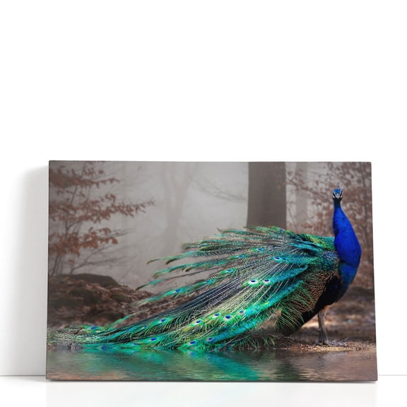 A Beautiful Peacock at a Lakeshore - Wrapped Canvas Print Wall Art | 18" W x 12" H