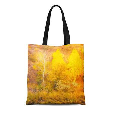 ASHLEIGH Canvas Tote Bag Orange Beauty Colorful Autumn Leaves Landscape Forest Falls Yellow Reusable Shoulder Grocery Shopping Bags