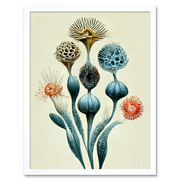 Ernst Haeckel Style Alien Flowers Detailed Illustrations Art Print Framed Poster Wall Decor 12x16 inch
