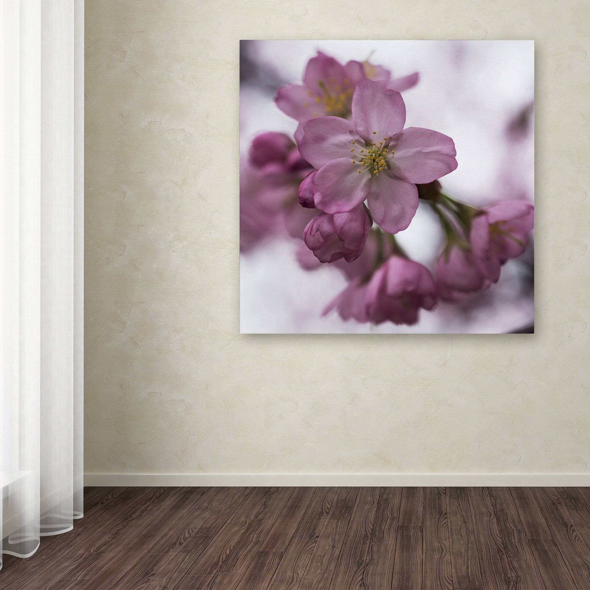 Trademark Fine Art "Cherry Pink" Canvas Art by Kurt Shaffer