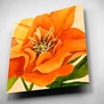 thumbnail image 4 of Epic Art 'Copper Petals II' by Annie Warren, Acrylic Glass Wall Art, 12"x12", 4 of 8