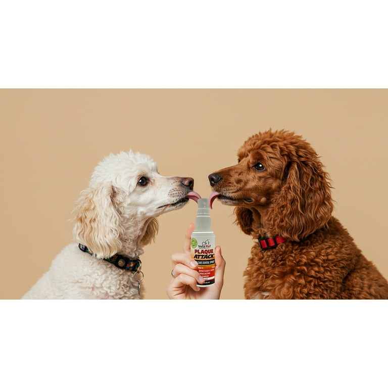 Plaque Attack Spray up to month supply- better breath, teeth and
