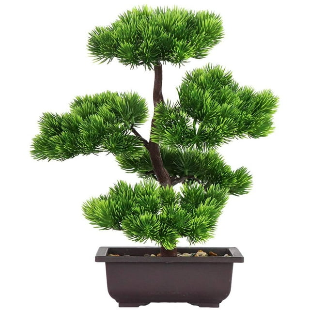 Planta decorativa en maceta de pino Bonsai-Beauty Ormromra HFP-0285