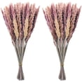 thumbnail image 2 of Viworld Pampas Grass, Natural Dried Pampas Grass Branches Decor for Home Kitchen Garden Party Photographing Flower Arrangement Vase Decor, 30pcs Natural, 2 of 9