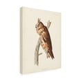 thumbnail image 2 of John James Audubon 'Long Eared Owl' Canvas Art, 2 of 3