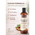 thumbnail image 2 of Botanic by Jamila Moisturizing Hair Shampoo – Herbal Nourishing Cleanser for Dry, Curly, Coily & Natural Hair, 2 of 12