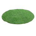 thumbnail image 1 of YSNOOWE Artificial Grass Mat Table Decor Round Green for Families 1Set, 1 of 8