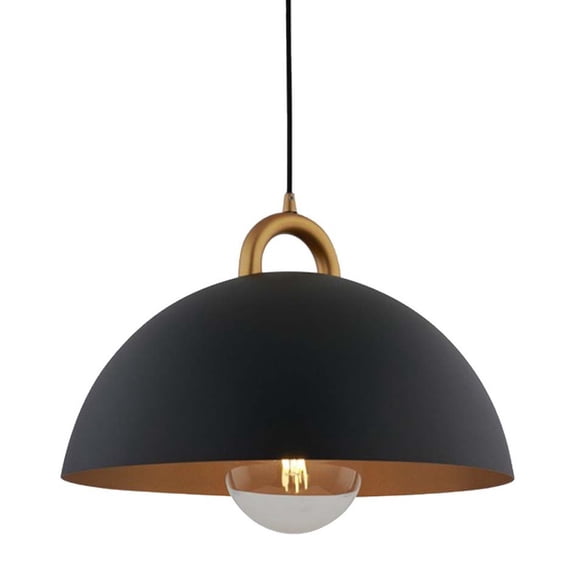 Artcraft Lighting AC12001BB Pantheon 20" Wide Pendant - Black / Rust Brass