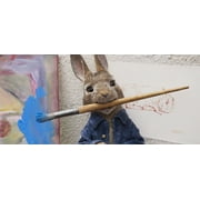 Peter Rabbit 1 & 2 - (DVD)