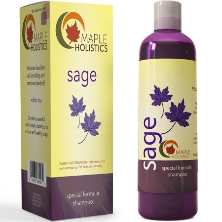 Maple Holistics Pure Sage Shampoo, Anti Dandruff + Hair Loss, Natural Hair Care Product, 8