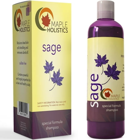 Maple Holistics Pure Sage Shampoo, Anti Dandruff + Hair Loss, Natural Hair Care Product, 8 (Best Shampoo For Dandruff And Hair Loss)