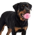 thumbnail image 2 of One Paw, Classic Tennis Ball for Dogs, Pink, Multiple Colors Available, 2 of 7