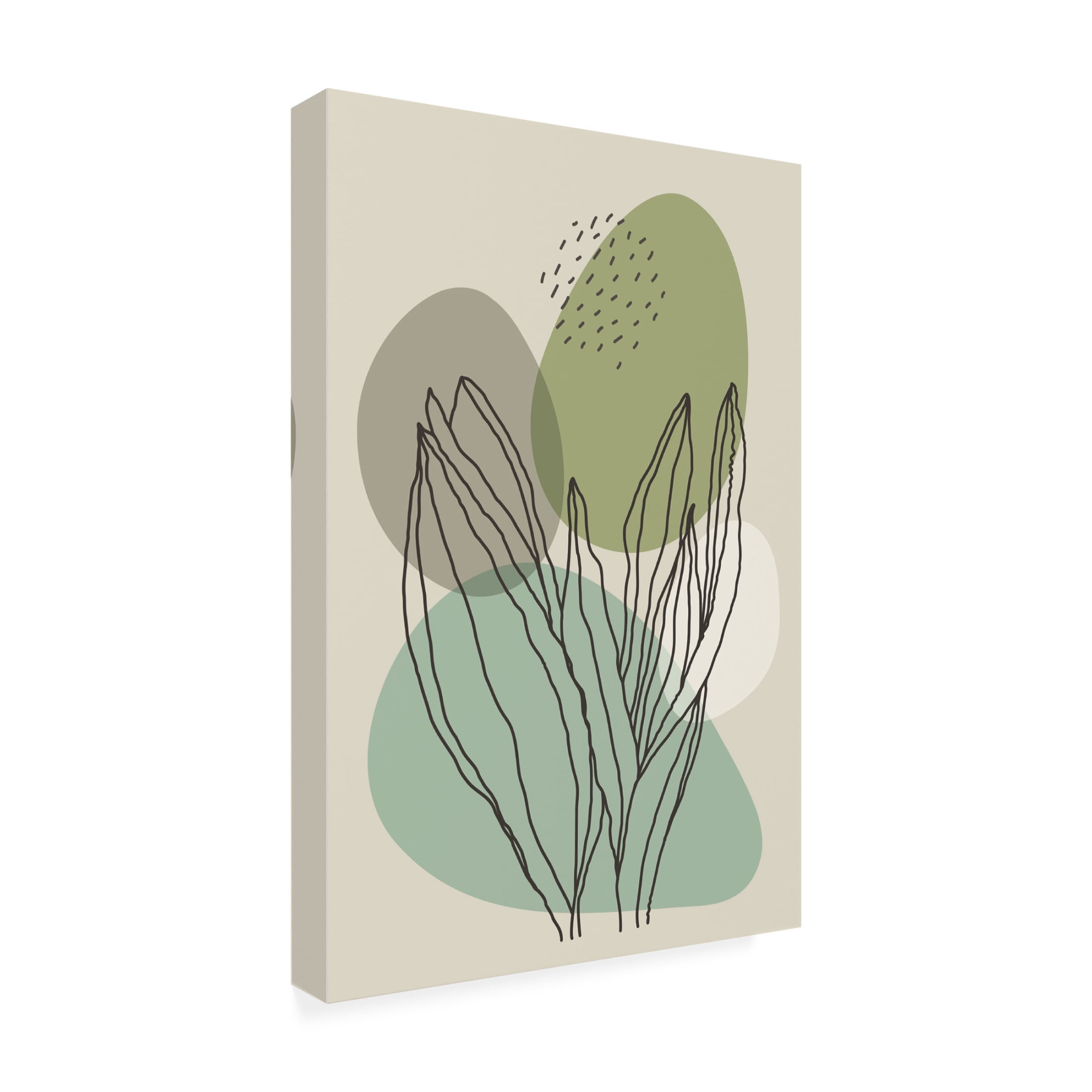 Trademark Fine Art jay stanley Color Abstract Plants 1 Canvas Wall Art