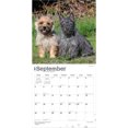 thumbnail image 4 of Cairn Terriers | 2027 12x24" (Hanging) Wall Calendar | Plastic-Free, 4 of 9
