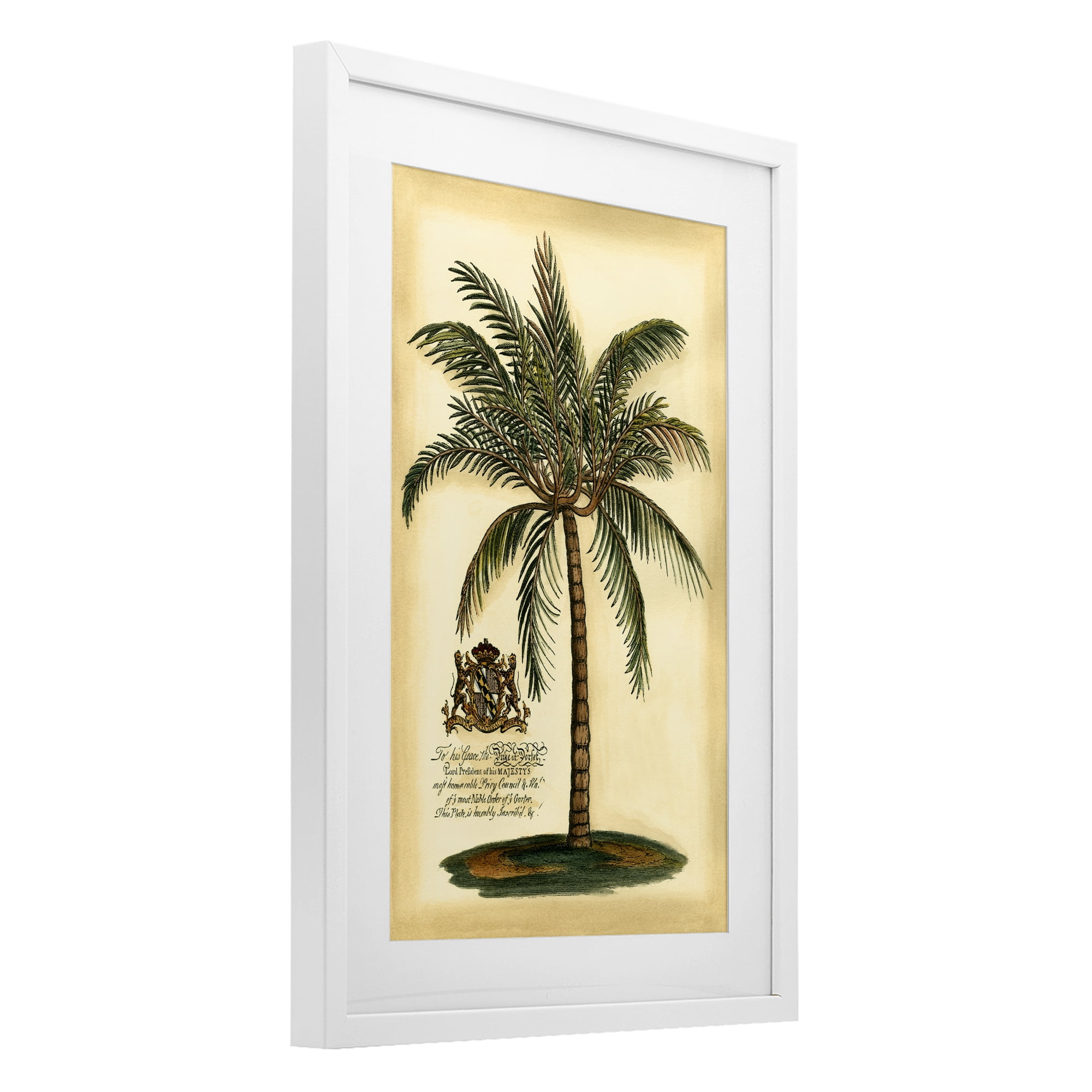 Stupell Industries British Colonial Palm White Framed Print Under Glass, design by Vision Studio