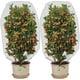 thumbnail image 1 of Red de protección contra insectos, red de protección para pájaros con diseño de cordón para árboles frutales, cubierta vegetal versátil, tela de malla duradera para jardinería interior y exterior,, 1 of 5