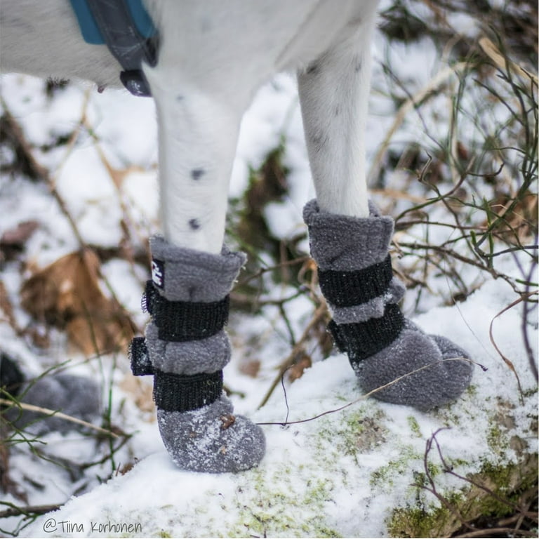 Xxs dog shoes shop