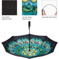 thumbnail image 7 of Inverted Umbrella Double Layer Automatic Folding Reserve Umbrella Windproof UV Protection for Rain Car Travel Outdoor Men Women, Peacock Ling, 7 of 7