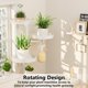 thumbnail image 4 of Estantes giratorios para plantas de ventana, soporte de pared para plantas de interior de 3 niveles, estante de metal floral con ganchos colgantes, 4 of 6