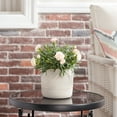 thumbnail image 2 of Better Homes & Gardens 6" x 6" x 5.3" Round White Ceramic Tye Plant Planter, 2 of 8