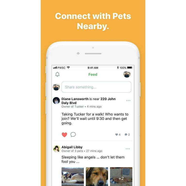 Pawscout top pet finder