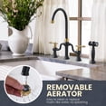 thumbnail image 6 of Wowow Black and Gold Double Handle High-Arc Widespread Deck Mounted kitchen faucet filter for kitchen sink With Side Spray in Brass, 6 of 7