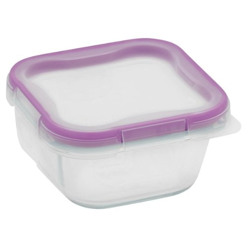 snapware total solution glass food storage set
