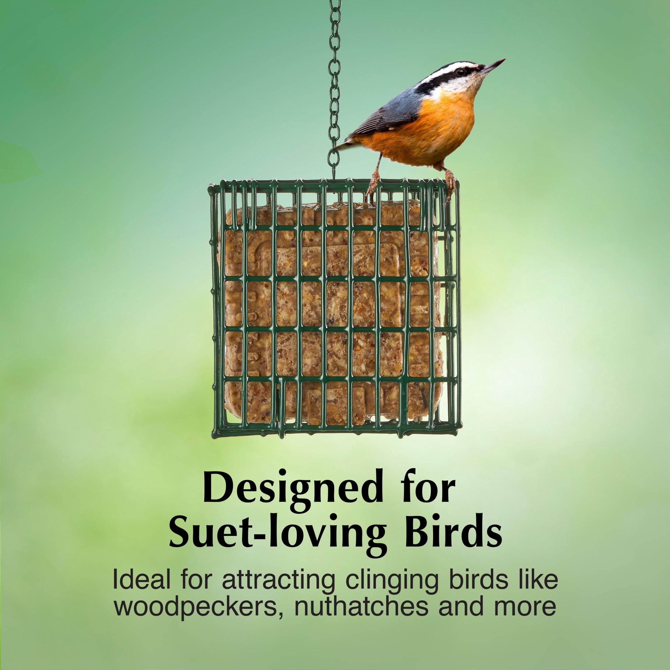 (2 pack) C&S EZ Fill Suet Basket, for Wild Bird Suet Cakes, 2" x 5.25" x 5.25"