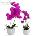 thumbnail image 4 of Bornbridge Artificial Potted Orchid with Long Stem (2 Pack, Violet - Medium), 4 of 5