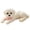 White, variant on Simulated Dog Squishy Toy with Pink Bow Tie, 1 Piece, White, for Kids and Adults, Relaxation Toy