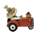 thumbnail image 3 of Espantapájaros Decorativo Way to Celebrate En Auto Con Fruta, 3 of 4
