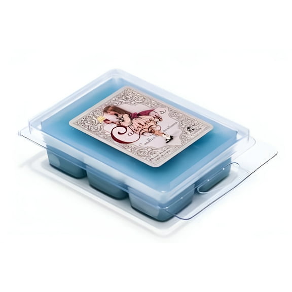 FRESH AND CLEAN Mixer Melt or Wax Tart by Courtneys Candles