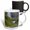 Multicolor, variant on 3drose, Waterfall Svodufoss on Peninsula Snaefellsnes in Western Iceland., 11oz Magic Transforming Mug