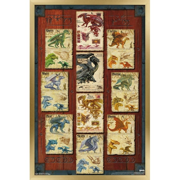 Dungeons and Dragons - Dragon Grid Wall Poster, 14.725" x 22.375", Framed