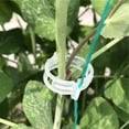 thumbnail image 6 of Vines fixed clips, plastic trellis clips plant support clips, plant clips for support, grape vines, tomato vines, vegetable plants, garden clips, make plants healthier./300 PCS/Green, 6 of 9