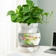 thumbnail image 5 of Desktop Pecera Maceta Hidropónica Acuario Terrario Decorativo con Material PET Transparente y Tapa Selada para Plantas y Peces Adecuada para Escritorio Decoración del Hogar Sala 20 cm x 262 cm, 5 of 8