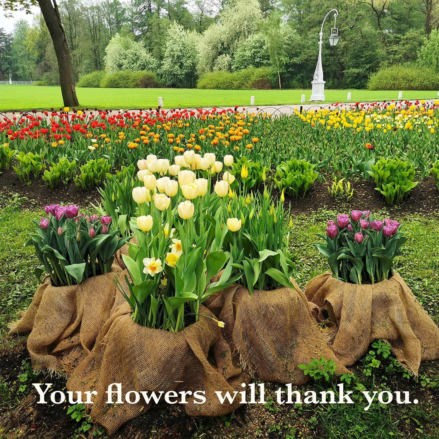 Burloptuous 60"x 16 Feet Gardening Burlap Fabric Roll - Burlap Tree Wrap, Weed Barrier, Multipurpose Natural Burlap Fabric