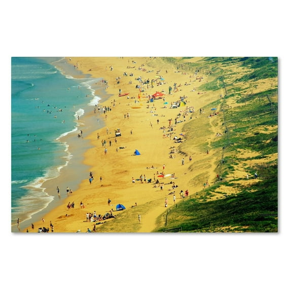 Trademark Fine Art "Life is a Beach" Canvas Art by Beata Czyzowska Young