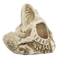 thumbnail image 5 of Paranormal Ouija Spirit Medium Cat Skull Ashtray Figurine Supernatural Occultist, 5 of 9