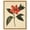 Gold Frame, variant on Red Petal Reverie III Canvas Vintage Botanicals by Art Remedy, Gallery Wrapped, 20" x 24"