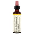 thumbnail image 2 of Bach - Gorse Essence, 20ml, 2 of 2