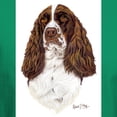 thumbnail image 3 of CafePress - English Springer Spaniel T Shirt - Men's Classic Graphic Cotton T-Shirt, 3 of 4