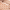 Tan, variant on No Boundaries Women’s Mesh Mary Jane Flats
