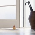 thumbnail image 5 of Wooden door stop, set of 2 door stop base made of beech and black walnut wood, furniture wedges with non-slip rubber pad, silent, shockproof for doors, 5 of 5